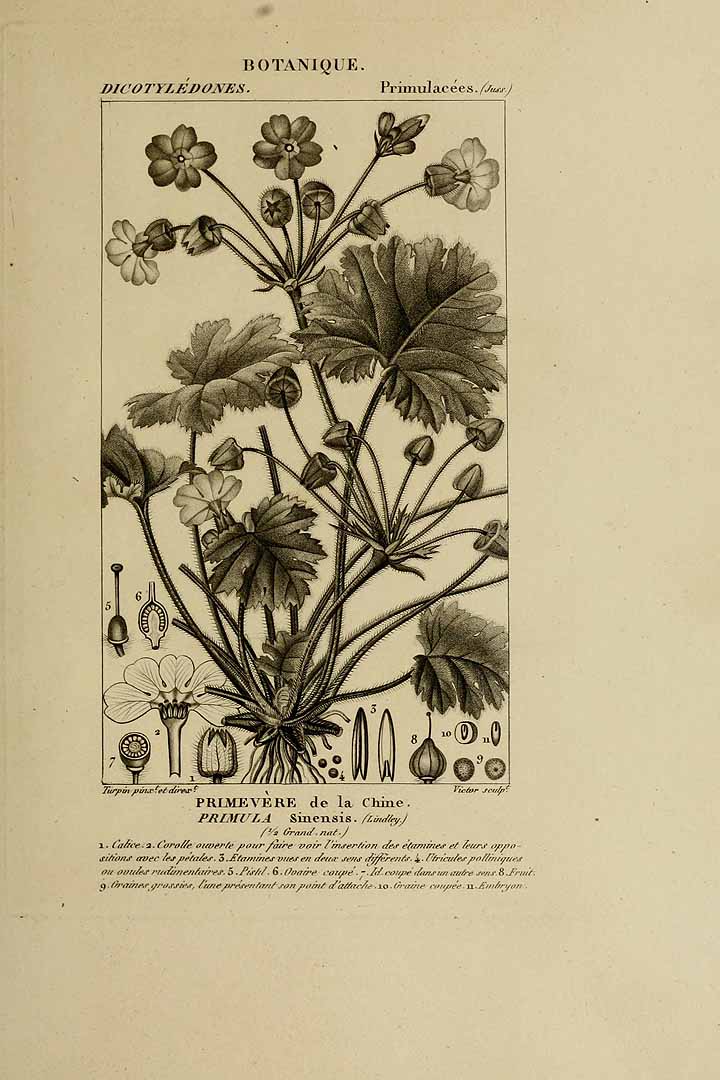 no HD illustration available (3)