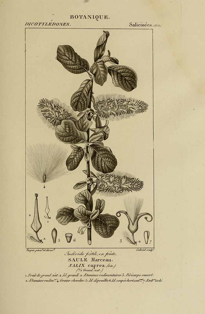 no HD illustration available (3)