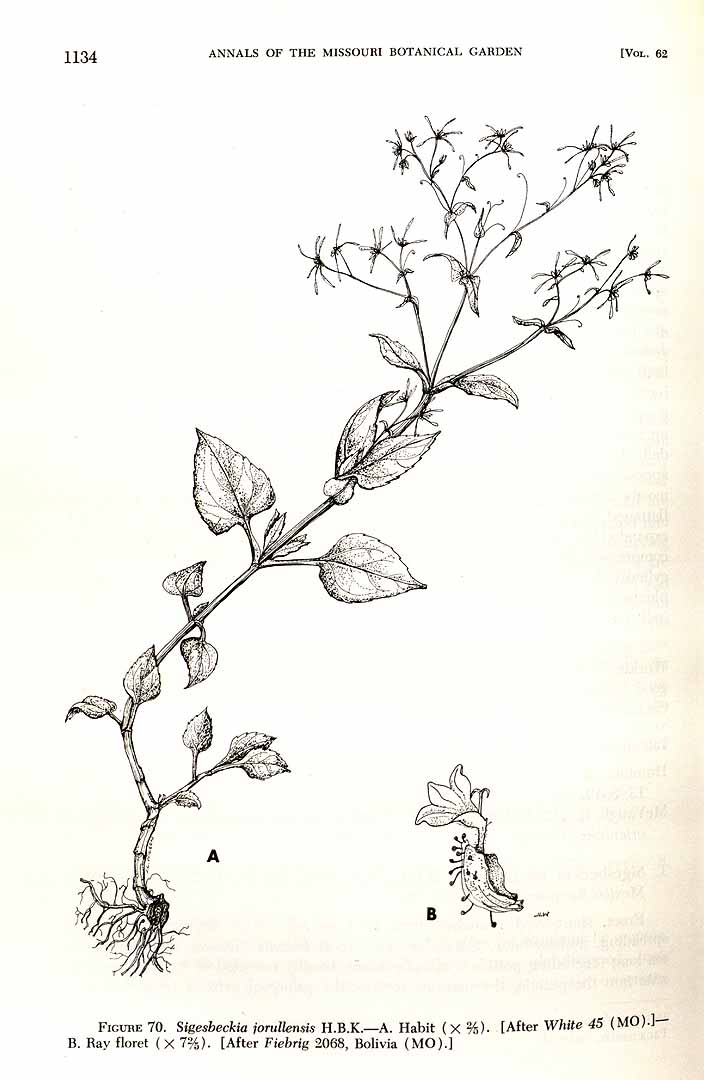 no HD illustration available (3)