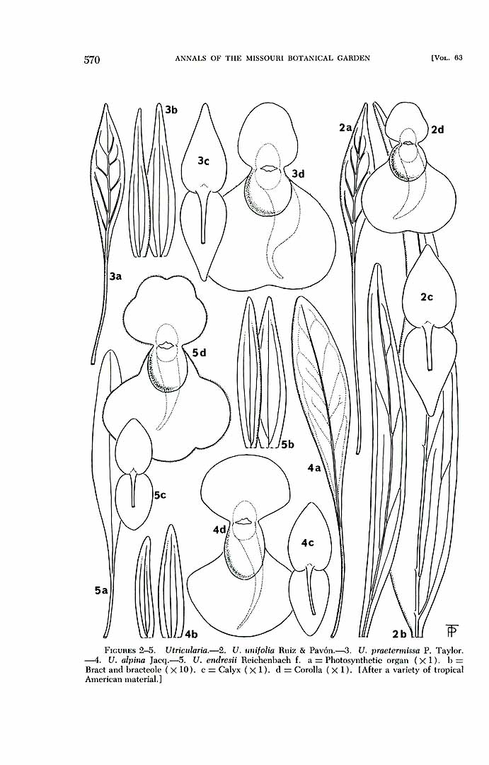 no HD illustration available (3)
