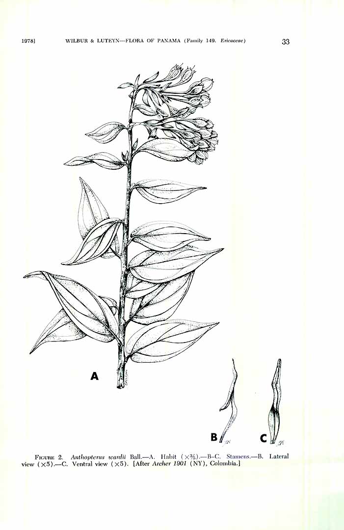 no HD illustration available (3)