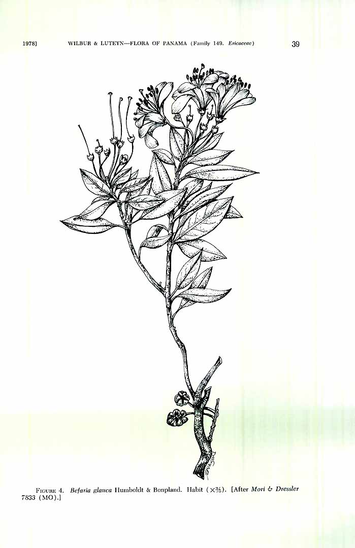 no HD illustration available (m1)