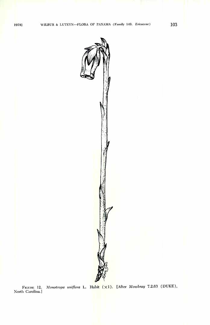 no HD illustration available (3)