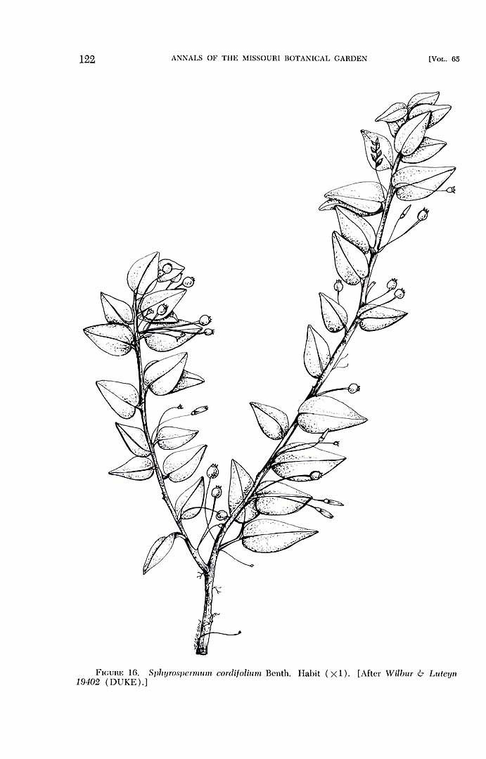 no HD illustration available (m1)