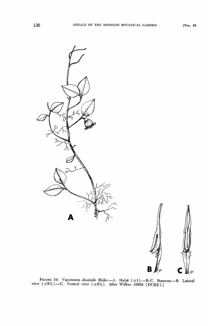 no HD illustration available (m1)