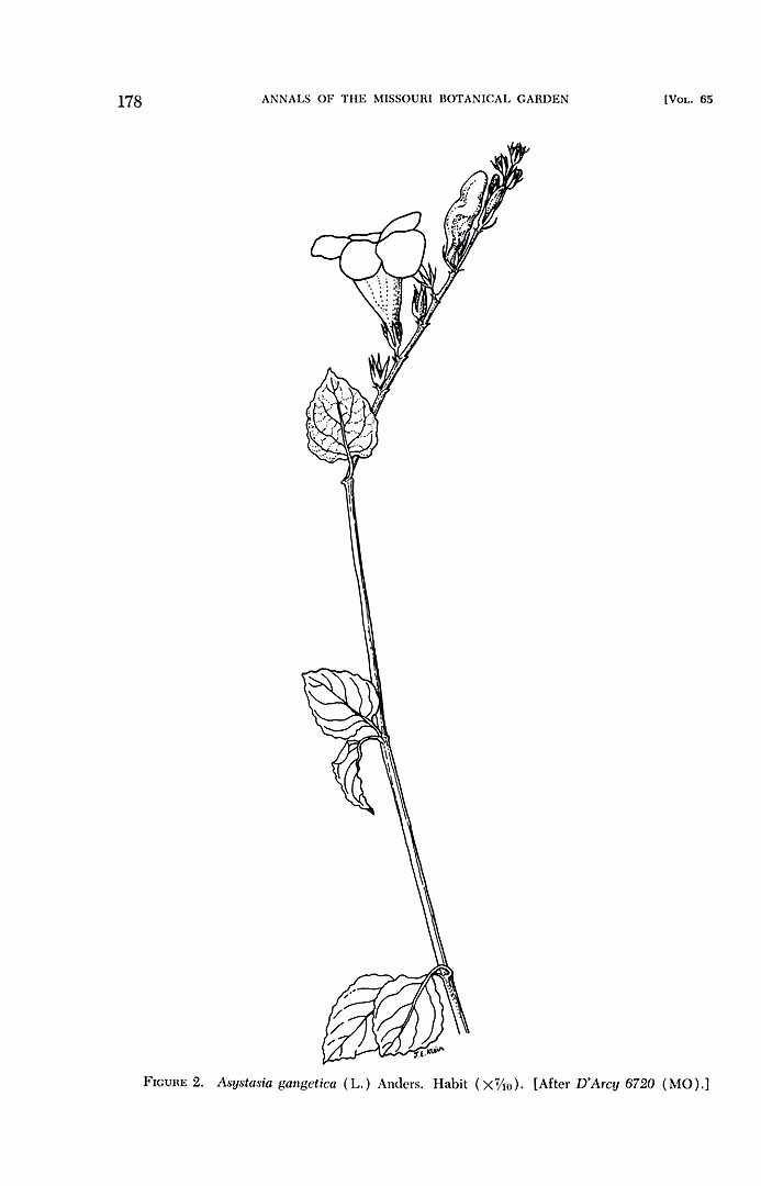 no HD illustration available (3)