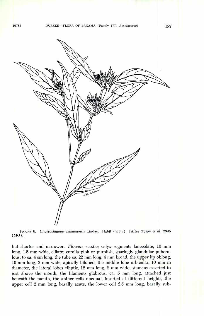 no HD illustration available (m1)