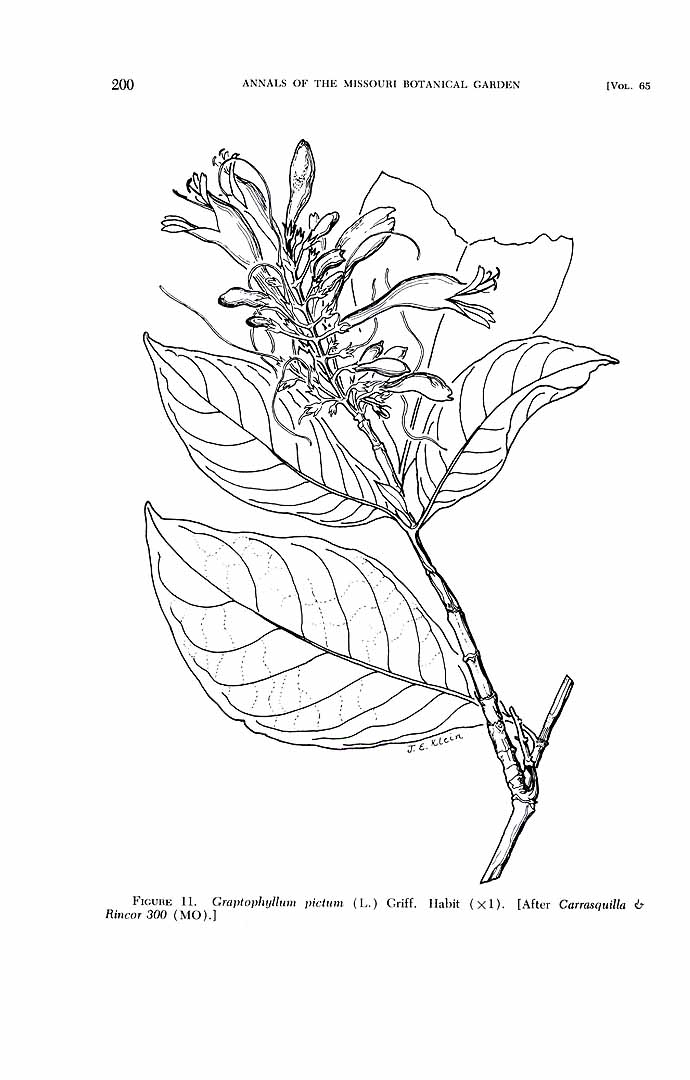 no HD illustration available (3)