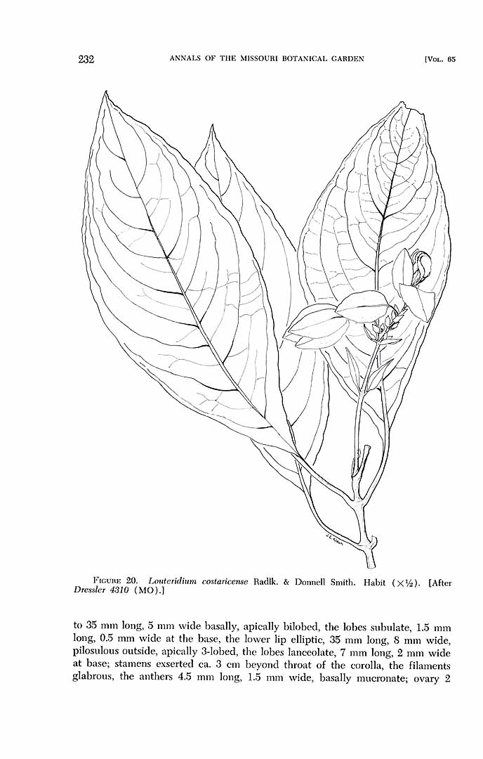 no HD illustration available (m1)