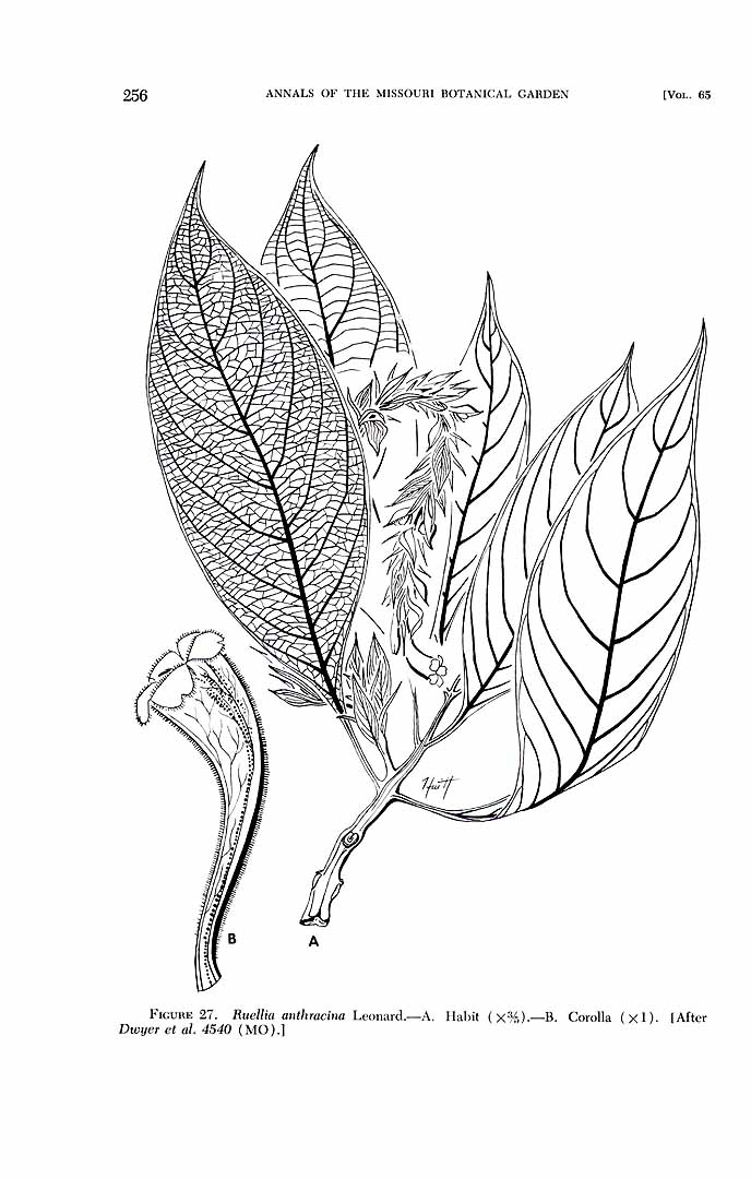 no HD illustration available (m1)