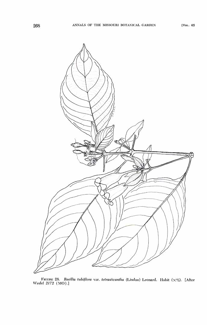 no HD illustration available (3)