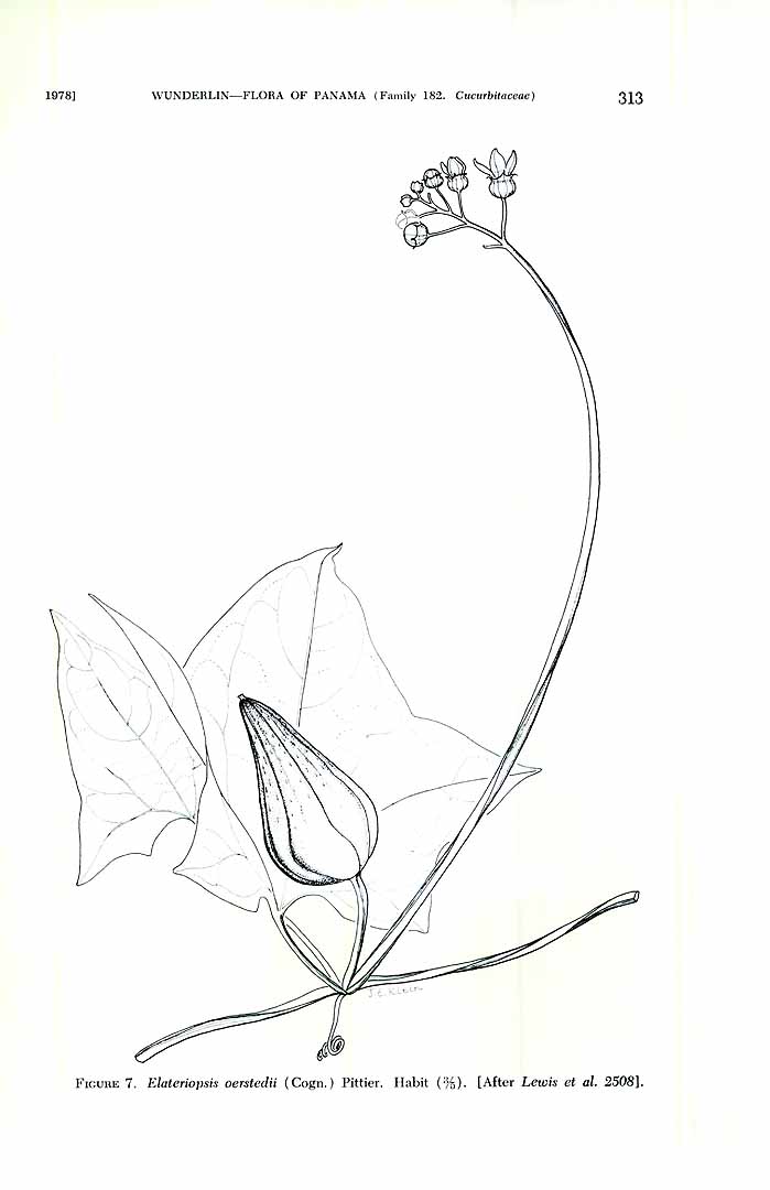 no HD illustration available (m1)