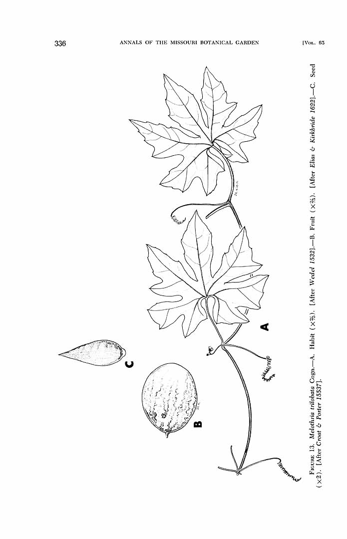no HD illustration available (m1)