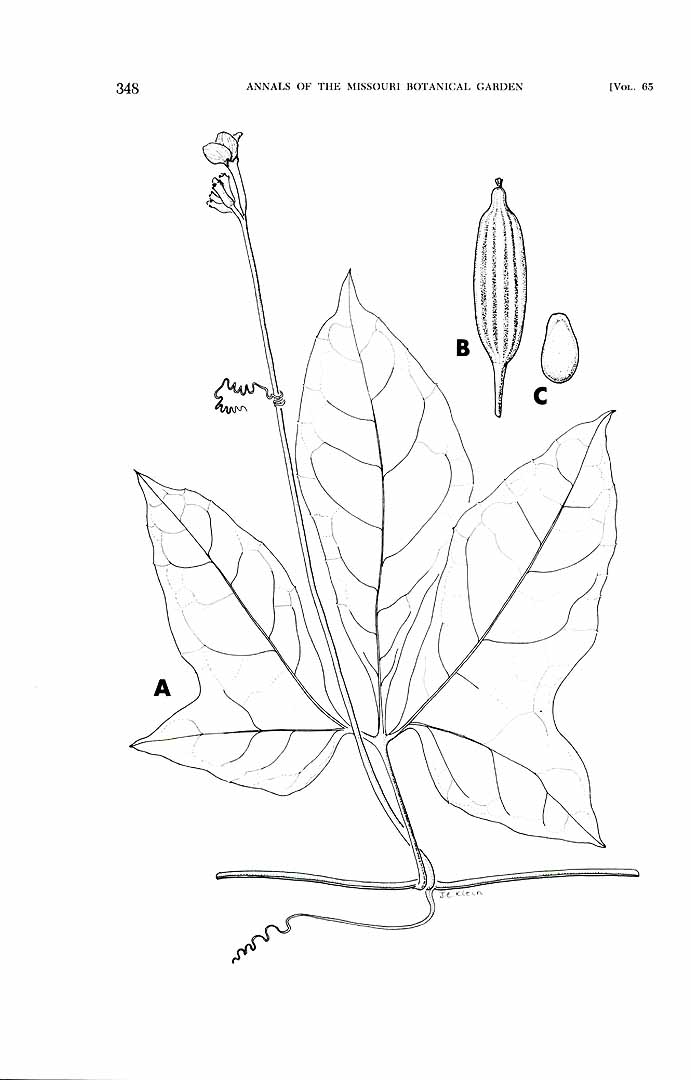 no HD illustration available (3)