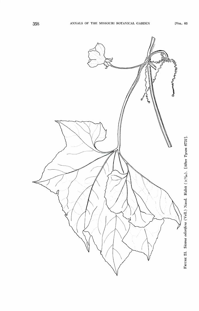 no HD illustration available (3)