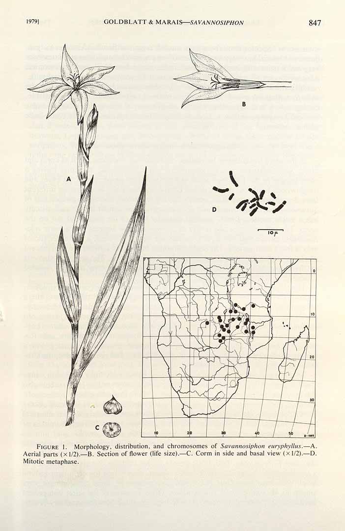 no HD illustration available (3)
