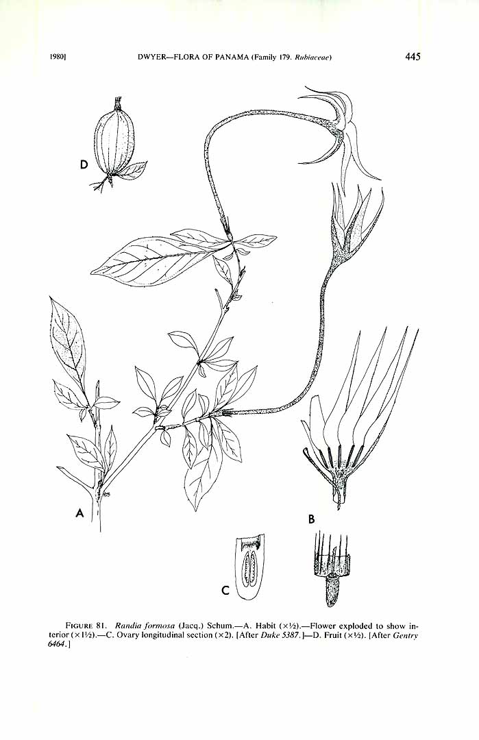 no HD illustration available (3)