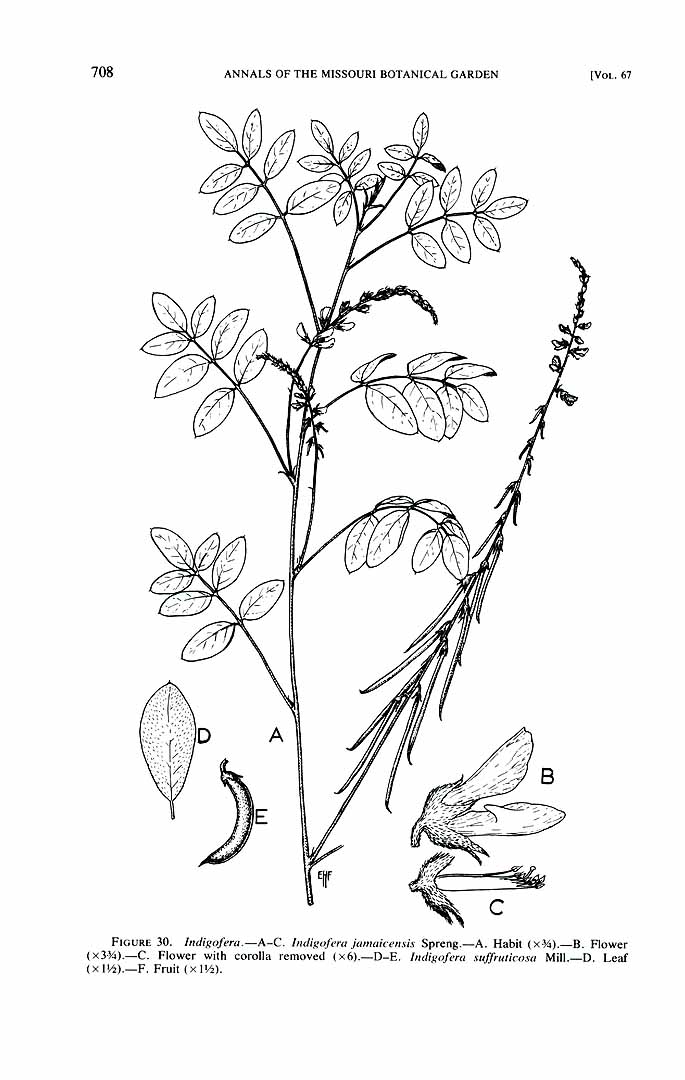 no HD illustration available (3)