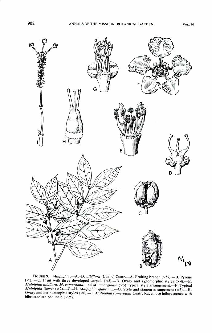 no HD illustration available (3)