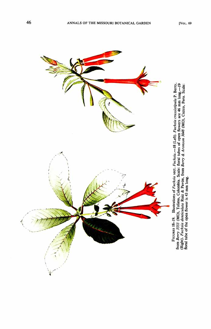 no HD illustration available (3)