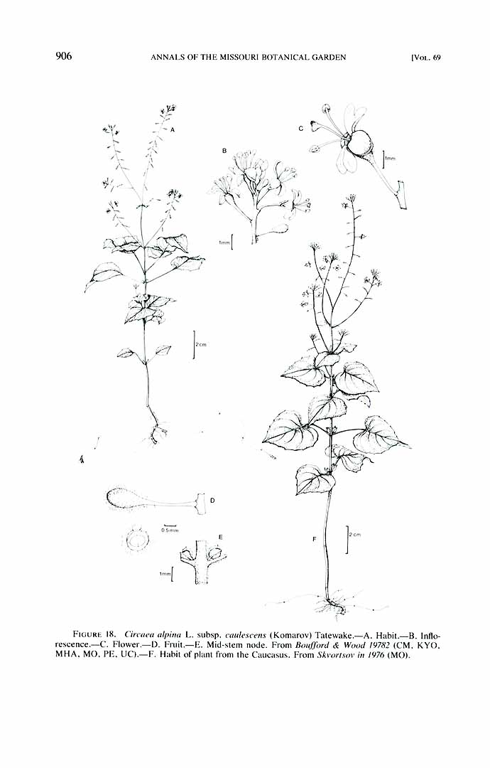 no HD illustration available (3)