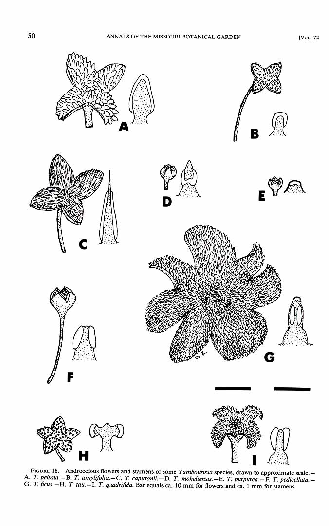 no HD illustration available (m1)