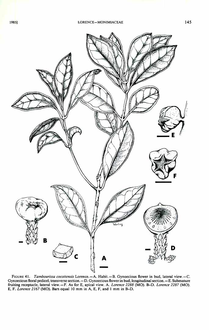 no HD illustration available (m1)