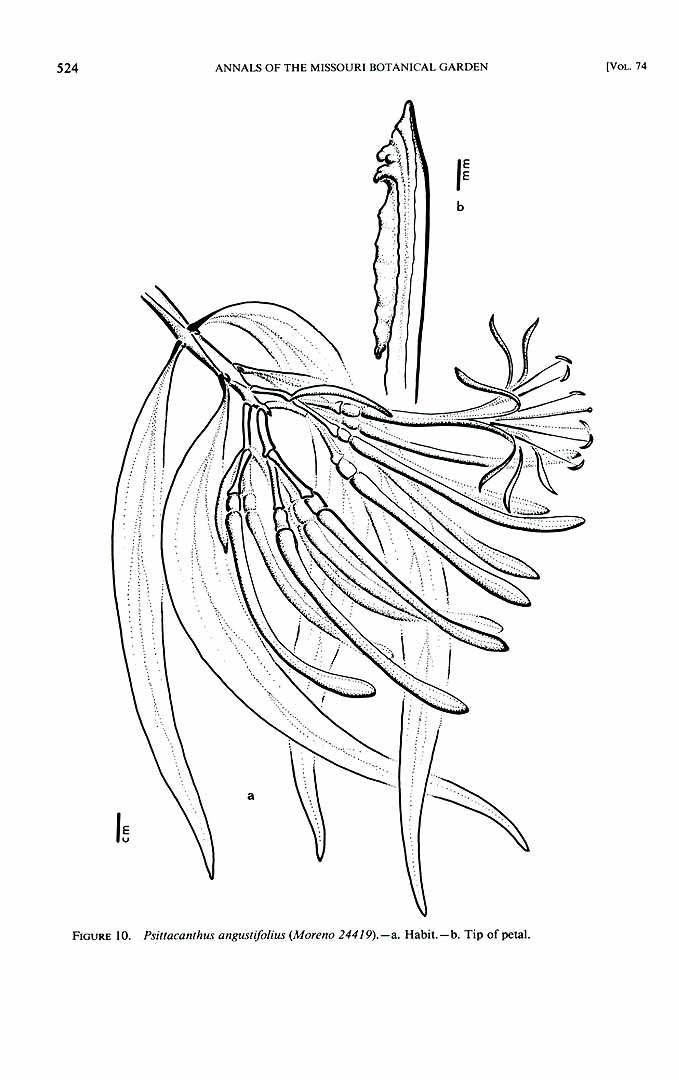 no HD illustration available (3)