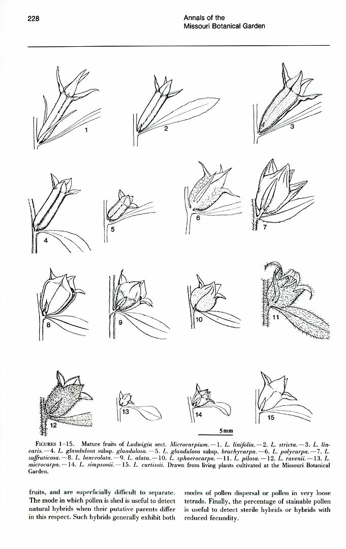 no HD illustration available (m1)