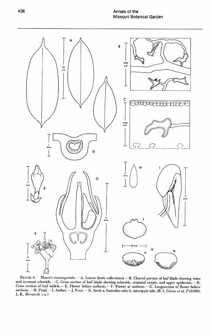 no HD illustration available (m1)