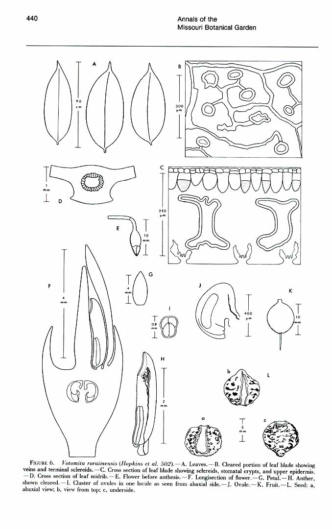 no HD illustration available (m1)