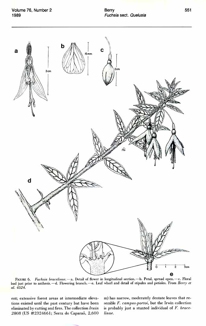 no HD illustration available (m1)