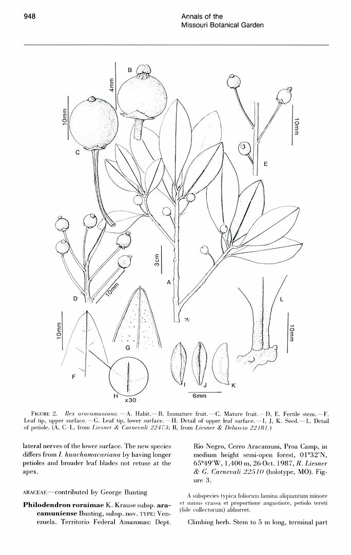 no HD illustration available (m1)