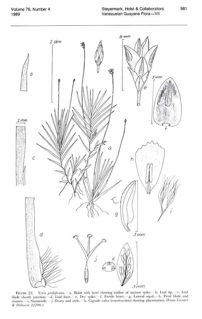 no HD illustration available (m1)
