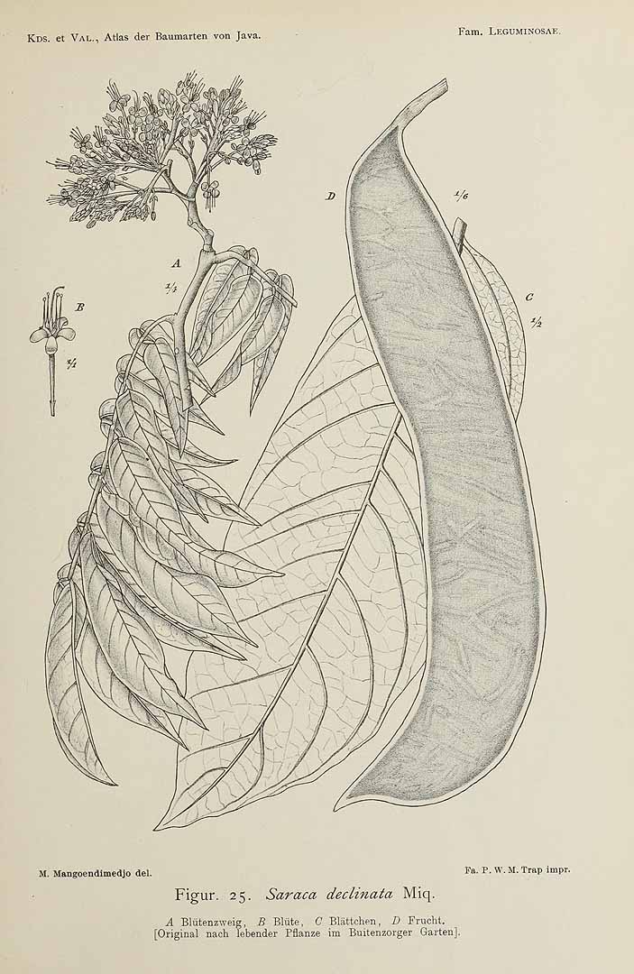no HD illustration available (m1)