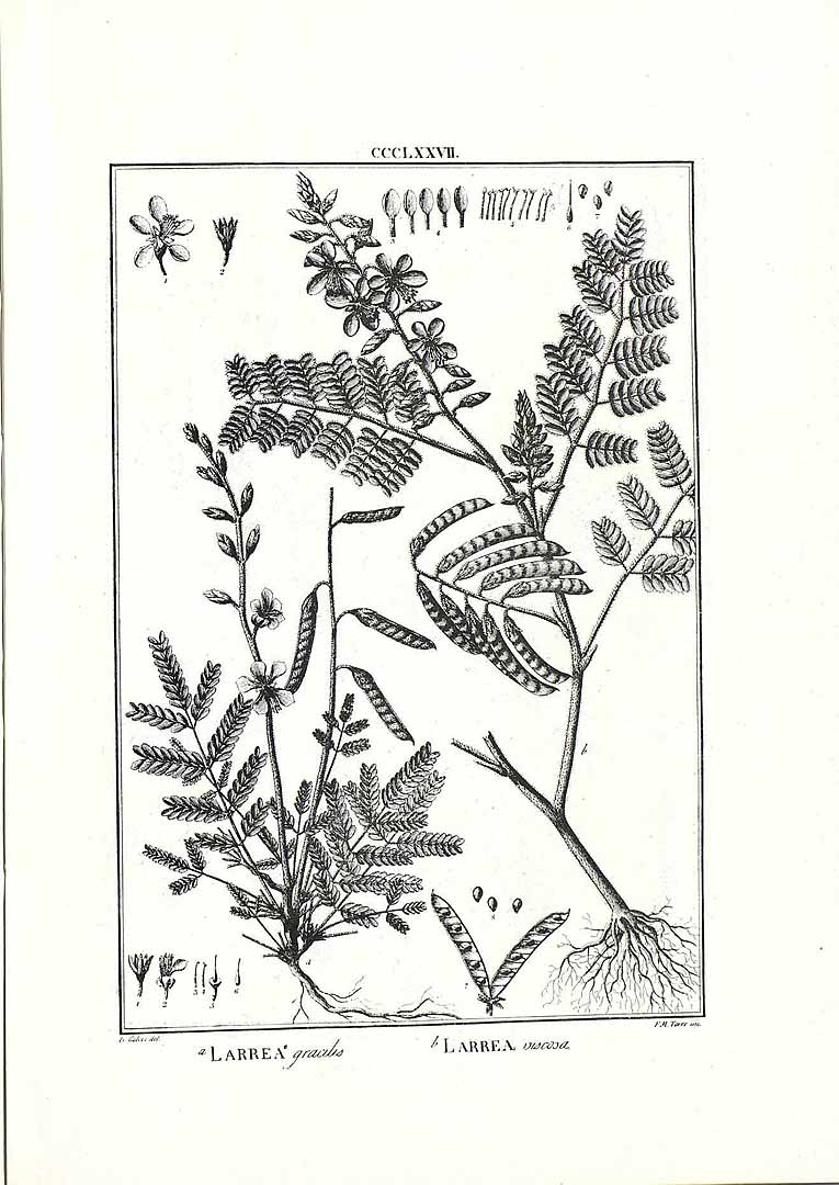 no HD illustration available (3)