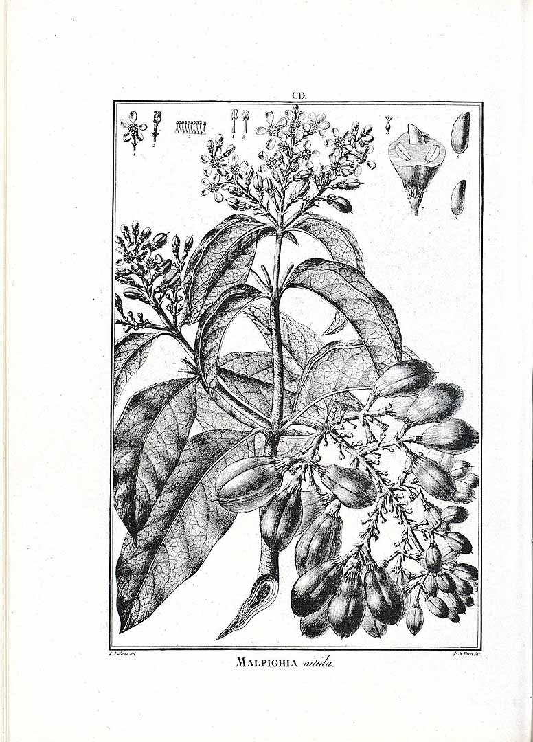 no HD illustration available (3)