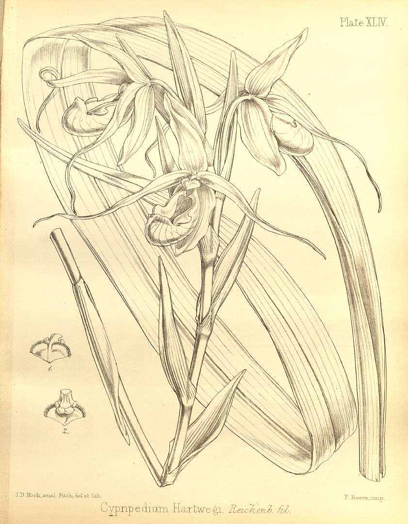 no HD illustration available (3)