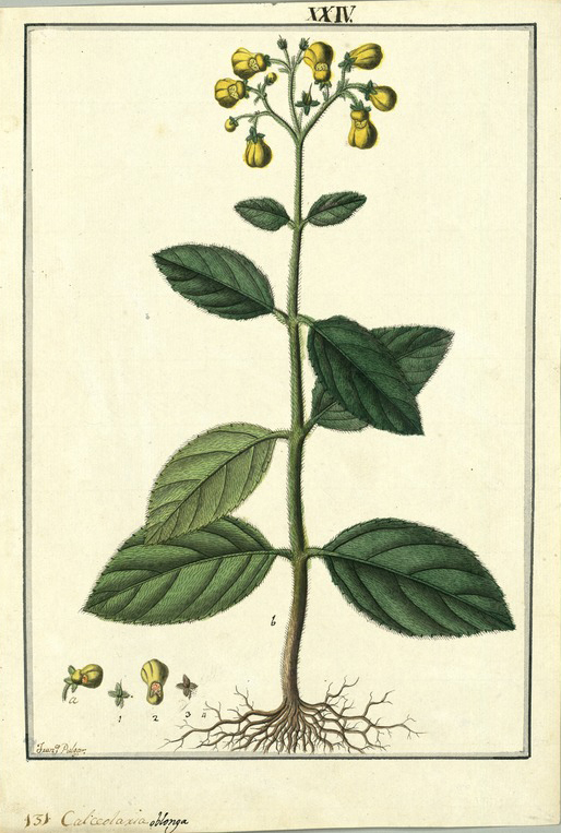 no HD illustration available (3)