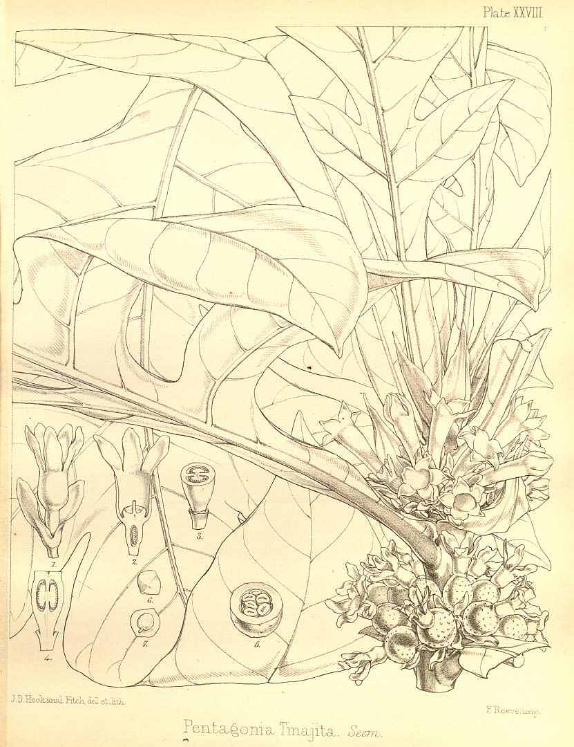 no HD illustration available (3)