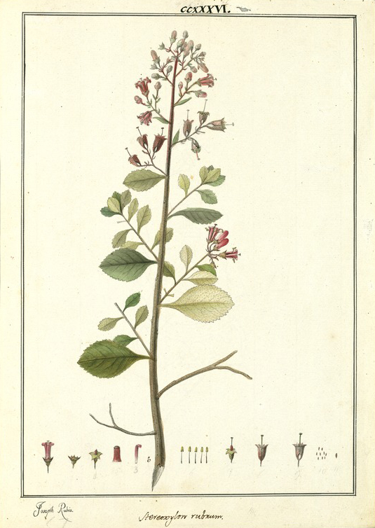 no HD illustration available (3)