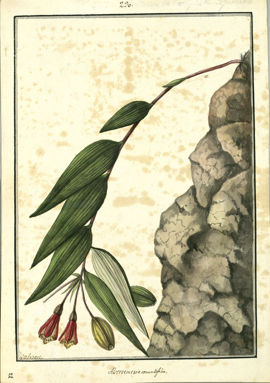 no HD illustration available (3)
