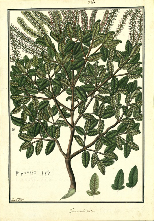 no HD illustration available (3)