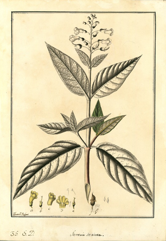 no HD illustration available (3)