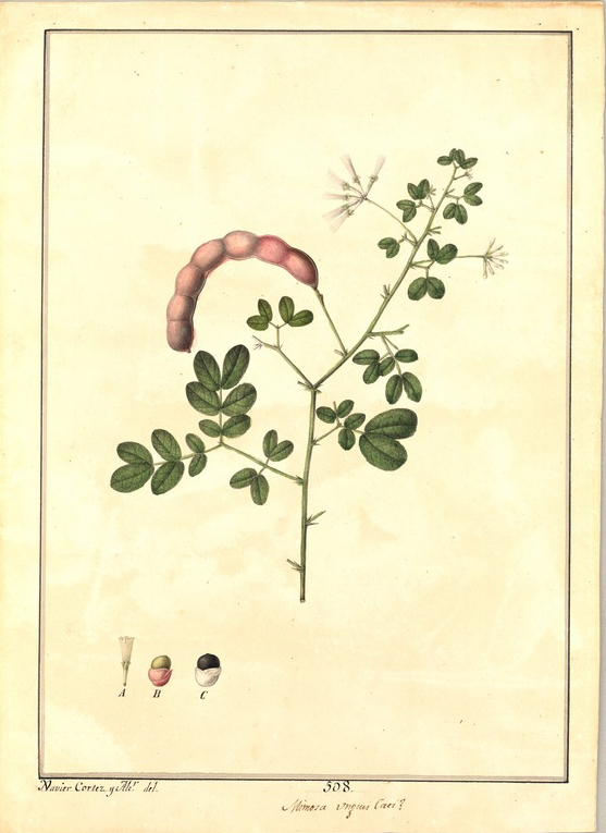 no HD illustration available (m1)