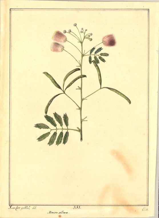 no HD illustration available (m1)