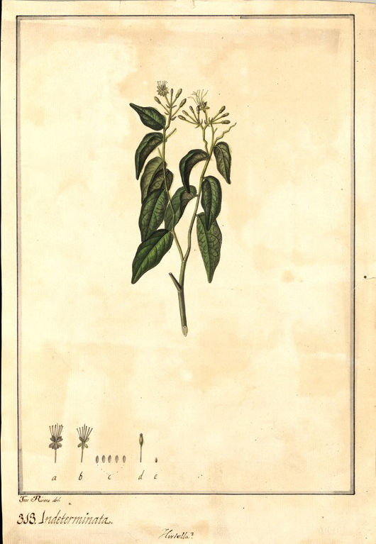 no HD illustration available (m1)