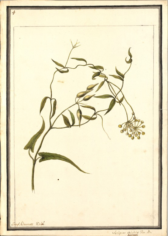 no HD illustration available (m1)