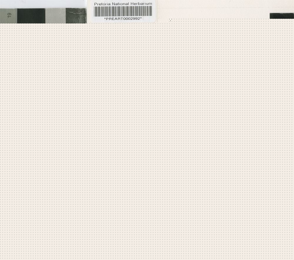 no HD illustration available (3)