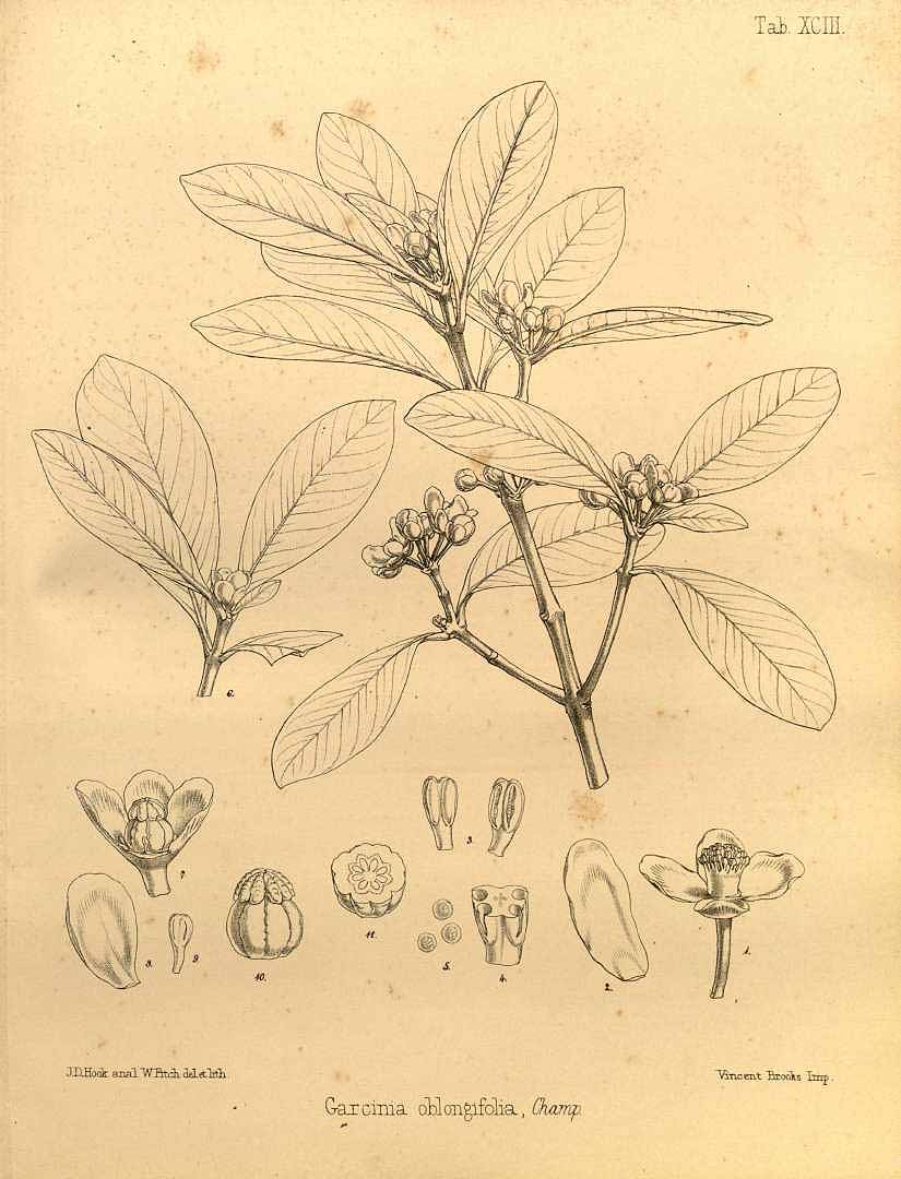 no HD illustration available (3)